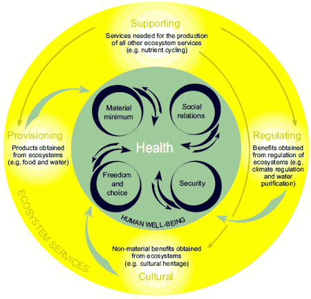 figure 1. interrelationship between ecosystem services, aspects of human well-being and human health - human health threat from ecosystem degradation: threats particularly acute in poorer countries press release / who 9dec2005