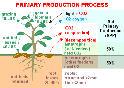 http://www.seafriends.org.nz/enviro/soil/soil27.gif