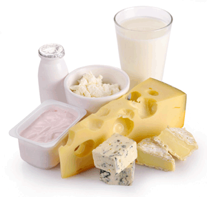 dairy_foods_milk_chese_yogurt_no_background.png