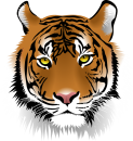 image result for tiger clip art