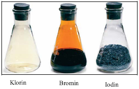 unsur klorin, bromin dan iodin