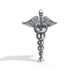 http://gnosticwarrior.com/wp-content/uploads/2012/06/medical_symbol.jpg