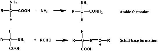 http://cbc.arizona.edu/classes/bioc462/462a/notes/amino_acids/amino_acid.gif