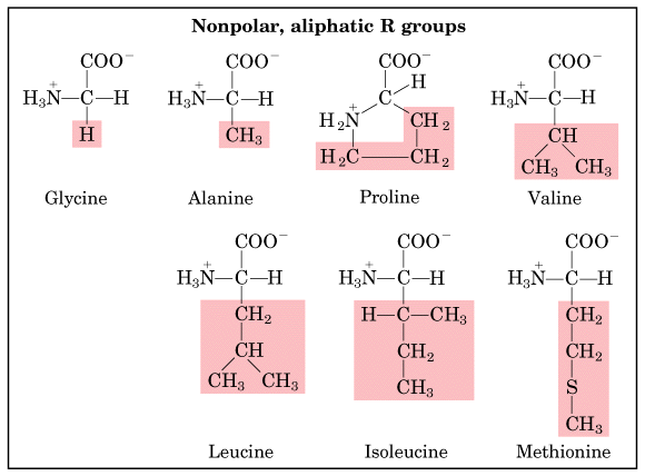 http://cbc.arizona.edu/classes/bioc462/462a/notes/amino_acids/fig5_5_1aanonpolar.gif