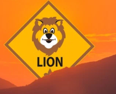 new lion program logo