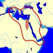 https://upload.wikimedia.org/wikipedia/commons/7/75/language_maps_known_egyptian_world_1.jpg
