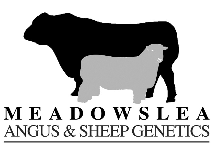 c:\users\david\documents\2017 bull sale\pics\meadowslea logo.jpg
