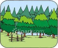 http://images.google.com/url?source=imgres&ct=tbn&q=http://www.clipartguide.com/_named_clipart_images/0060-0805-0912-3644_pine_tree_woods_clipart_image.jpg&usg=afqjcnggk2djlayegmiay1yluwaeeyhfxa